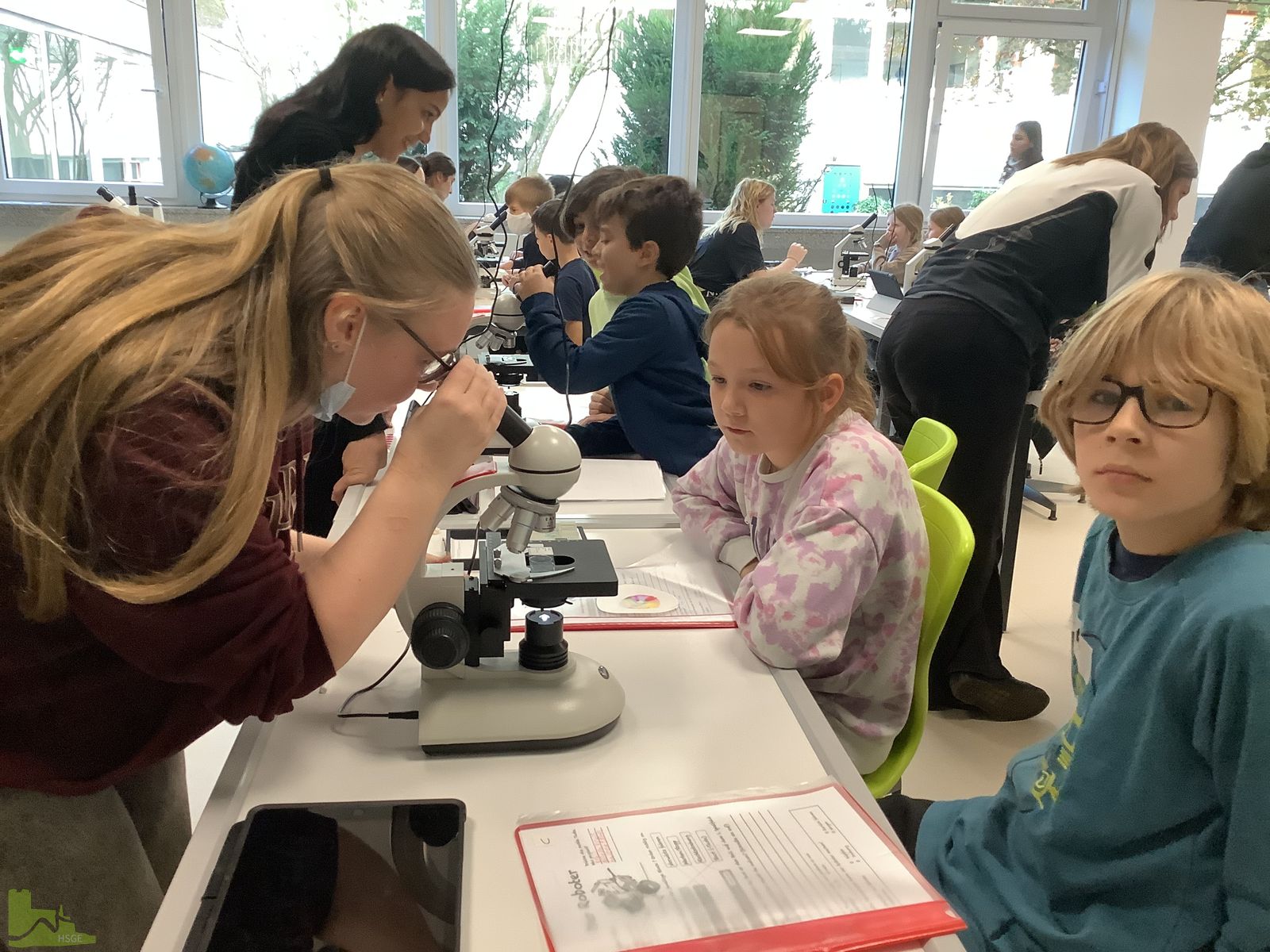 Kleine Forscher an der Hardenstein-Gesamtschule